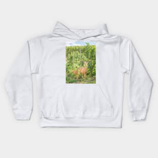 Doe and Fawn Standing in Summer Vineyard Kids Hoodie